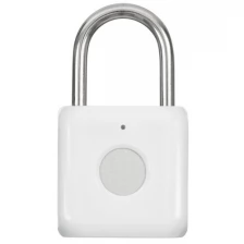 Умный замок Digma SmartLock P1 навесной разбл.отпеч.паль. 100mAh белый (SRP1)